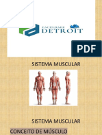 Sistema Muscular