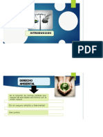 Razones Facticas Diapositivas y Mapa Conceptual Final