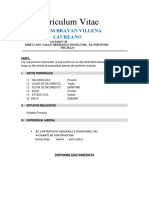 CURRICULUM VITAE Cosntruccion