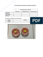 BIO462 EXPERIMENT 7 Lab Report