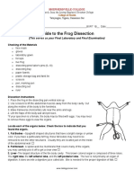 Frog Dissection Internal Anatomy Finals