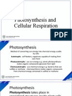 Photosynthesis Cellular Respiration