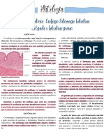 Sistema Digestório - Esôfago J Estômago J Intestino Delgado e Intestino Grosso