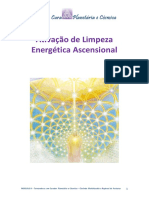 01 Exercicio - Limpeza Energetica Ascensional