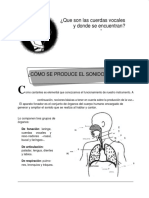 Que Son Las Cuerdas Vocales para El Cantante PDF