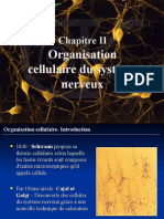 Chapitre II: Organisation Cellulaire Du Système Nerveux