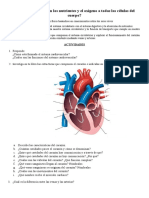 Actividad Circulación