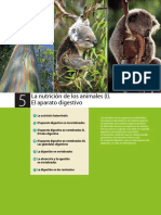 La Nutrición de Los Animales (I) - El Aparato Digestivo