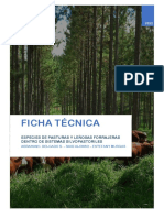 Ficha Tecnica de Pasturas