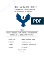 Arias Mendoza Nohely Marcela - Debido Proceso Legal y Tutela Jurisdiccional Efectiva en La Legislación Peruana