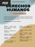 Derechos Humanos Resumen