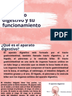 Aparato Digestivo y Su Funcionamiento