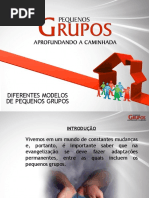 Diferentes Modelos de Pequenos Grupos