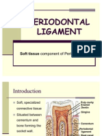 Periodontal Ligament