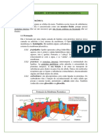 (Biologia I) Envoltorio Celular 