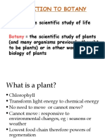 Chapter 1: Plant Classification (Root, Stem and Leaf Morfologi) 