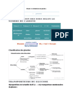 M2tabolisme Des Glucides