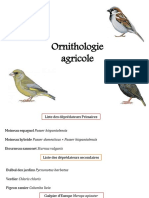 Ornithologie Agricole