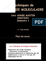 Cours BM Master Les Techniques1