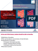 L9 - Pathogenesis of Jaundice