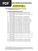 Alternativa Nro. 3 - Sector Público