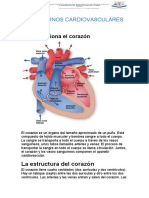 Trastornos Cardiovasculares