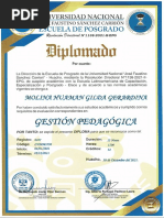 Gestion Pedagogica Diplomado Unjfsc