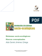 Marcos Conceptuales SSE