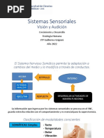 CyD - 11 - Visión y Audición - Grigioni 2022
