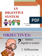 Digestive System