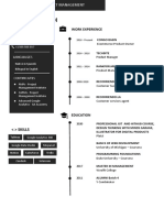 Free CV Template 9