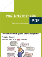 Protein Synthesis