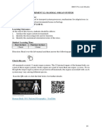 2021 Expt 12 Pre Lab - Mammal Organ System