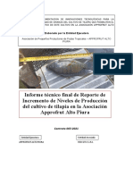 Reporte de Incremento de Los Niveles de Produccion Tecnificada de Tilapia en Approfrut Alto Piura