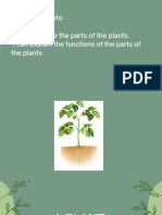 Parts of The Plant and Its Function PDF