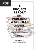 Varmora's Project Report