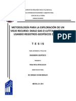 Metodología para La Exploración de Un Viejo Recurso Shale Gas o Lutita Gasífera Usando Registros Geofísicos de Pozo