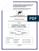 Gestion Du Frein Labial Maxillaire - 2