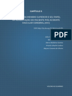 Órteses para Membro Superior e Seu Papel Na Reabilitação Do Paciente Pós-Acidente Vascular Cerebral (AVC)