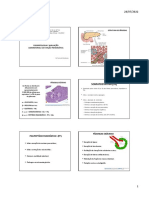 Aula - Fisiopatologia e Avaliação Laboratorial Da Função Pancreática