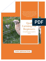 Quail-Farming-For-Beginner Guide