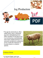 Swine Production