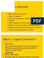 Capital Structure English