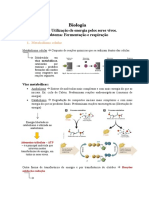 Resumo Matéria - Utilização de Energia