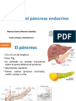 6 Pancreas Endocrino