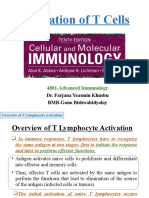 4801 - Activation of T Cell