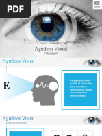 Agudeza Visual