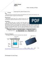 Lab Report Ice - LF