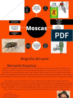 Moscas