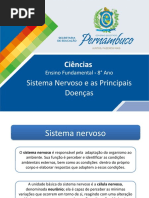 AULA DE Sistema Nervoso e As Principais Doenças